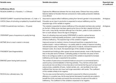 Rice Subsector Development and Farmer Efficiency in Nepal: Implications for Further Transformation and Food Security